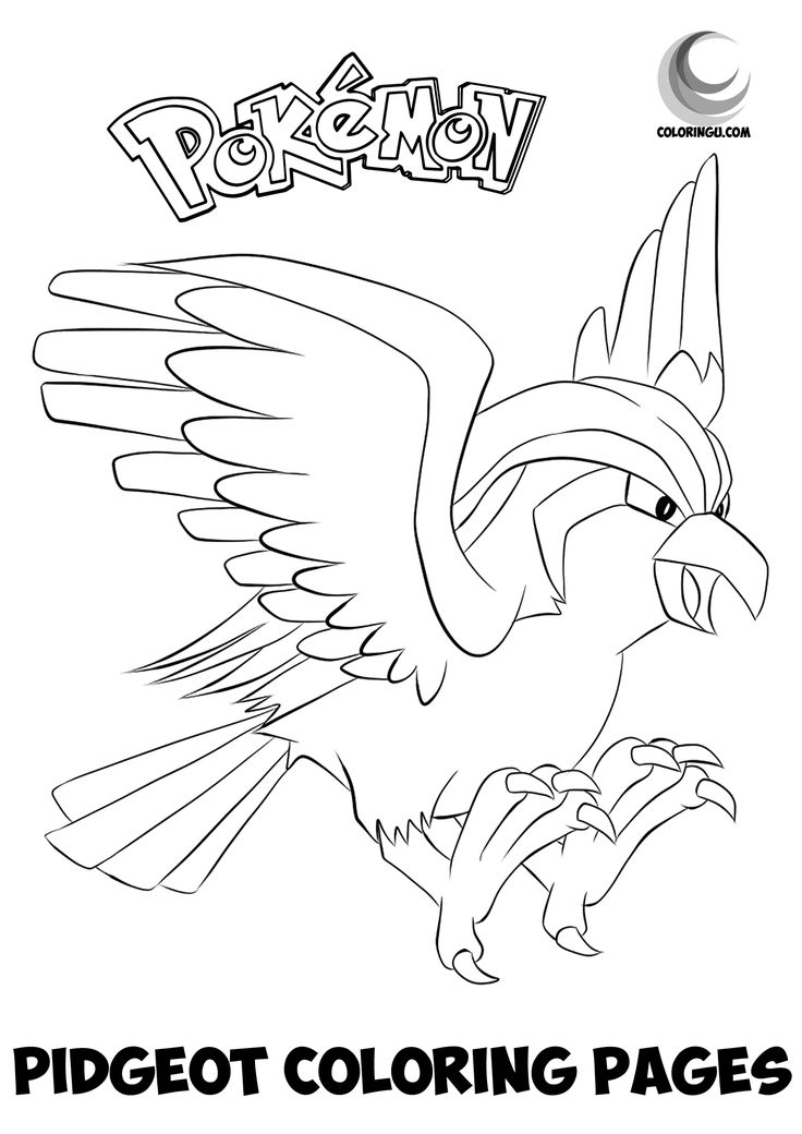 Pidgeot coloring pages coloring pages pokemon coloring pages pokemon coloring