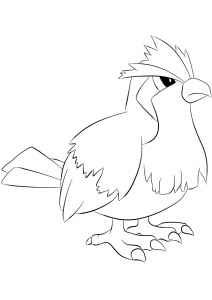Pidgeot no pokemon generation i