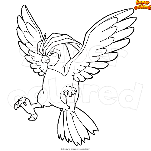 Coloring page pokemon pidgeotto
