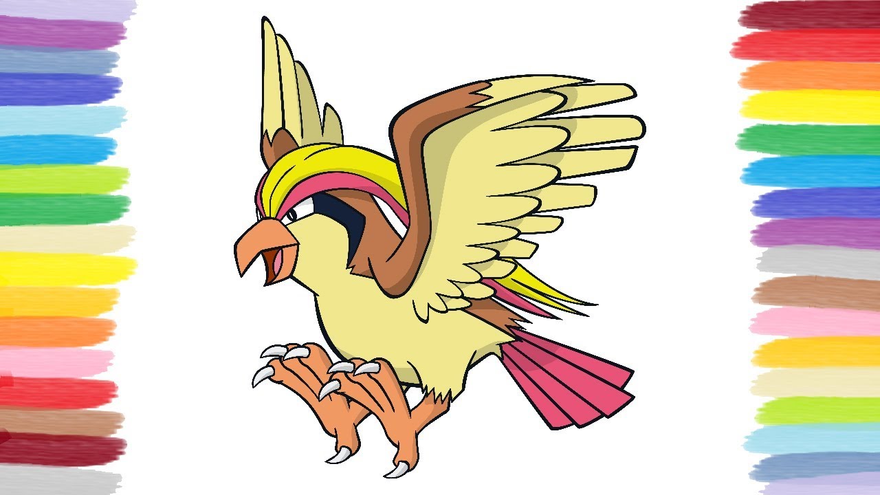 How to color pidgeot pokãmon