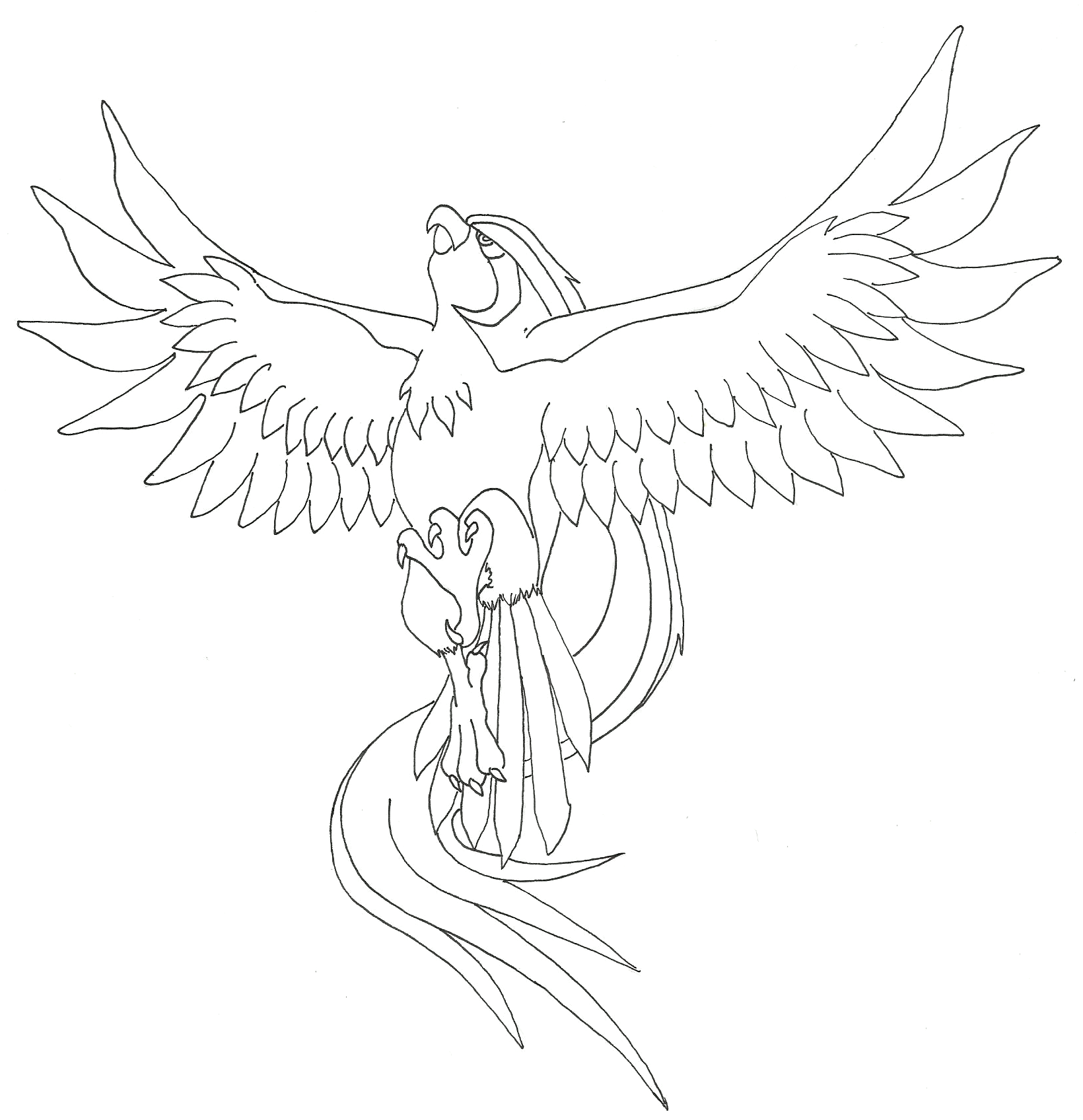 Pidgeot by saij