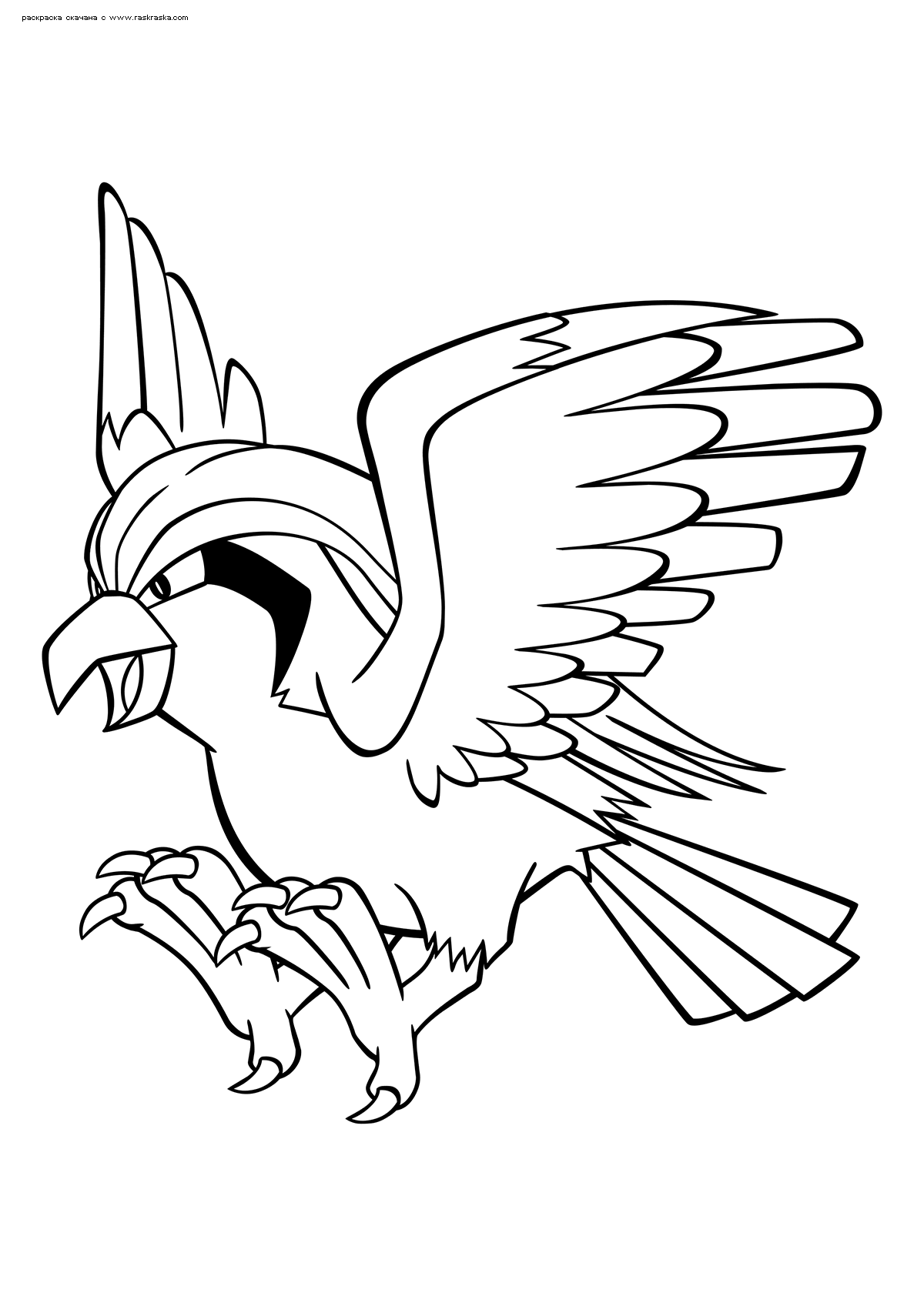 Ð ðñðºñðñðºð ðððºðµððð ðððððµðñ pidgeot ð ðñðºñðñðºð ñðððññðñ ðððºðµððððð pokemons evolution free colouring pages