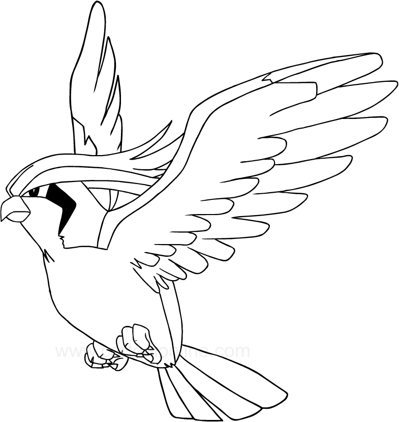 Drawing pidgeotto of the pokemon coloring page