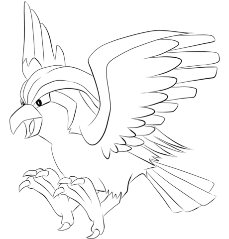 Pidgeot coloring page free printable coloring pages