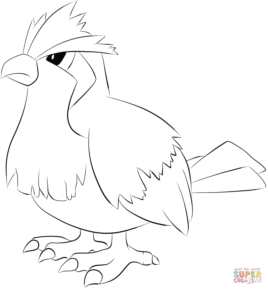 Pidgey coloring page free printable coloring pages