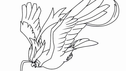 Pidgey coloring pages free