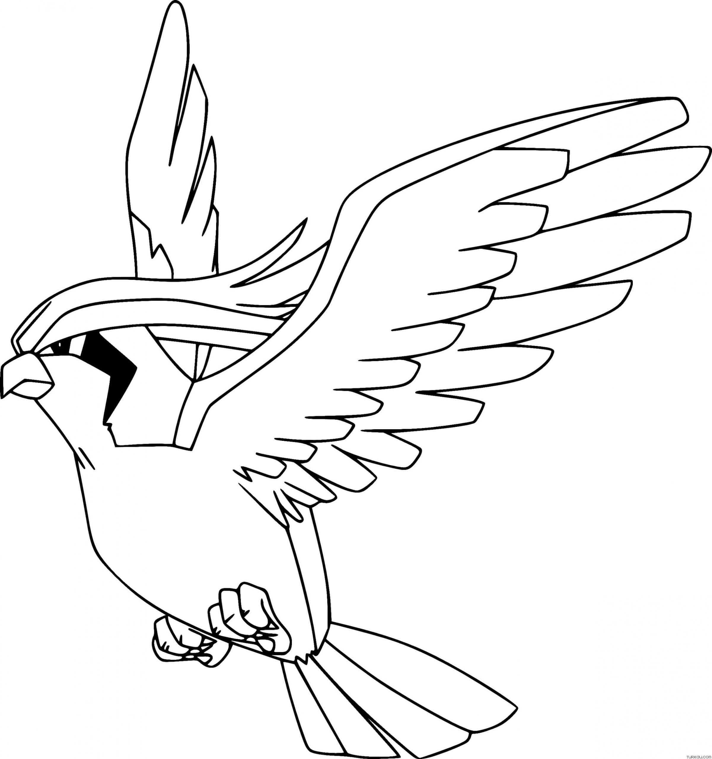 Pokemon pidgeot coloring page