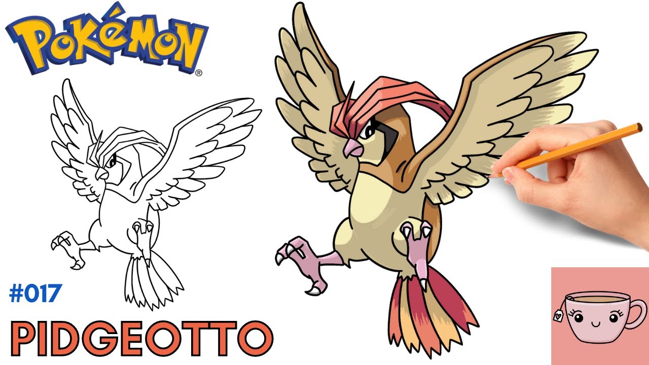 How to draw pidgeotto pokemon easy step by step drawing tutorial