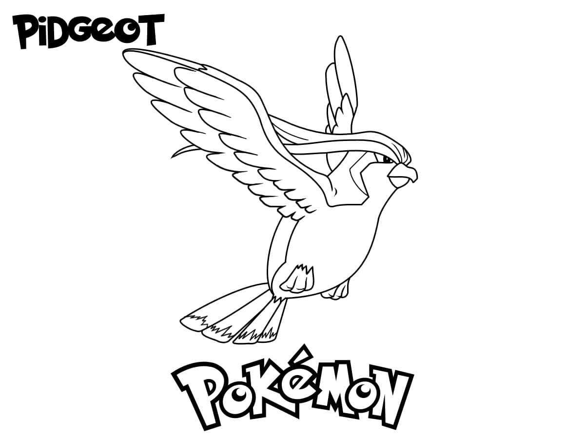 Pidgeot malvorlagen