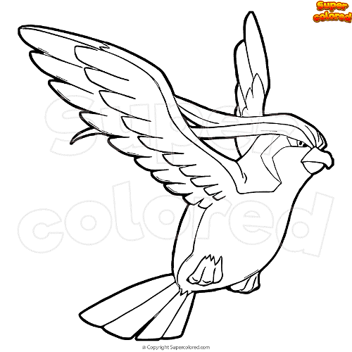 Coloring page pokemon pidgeot