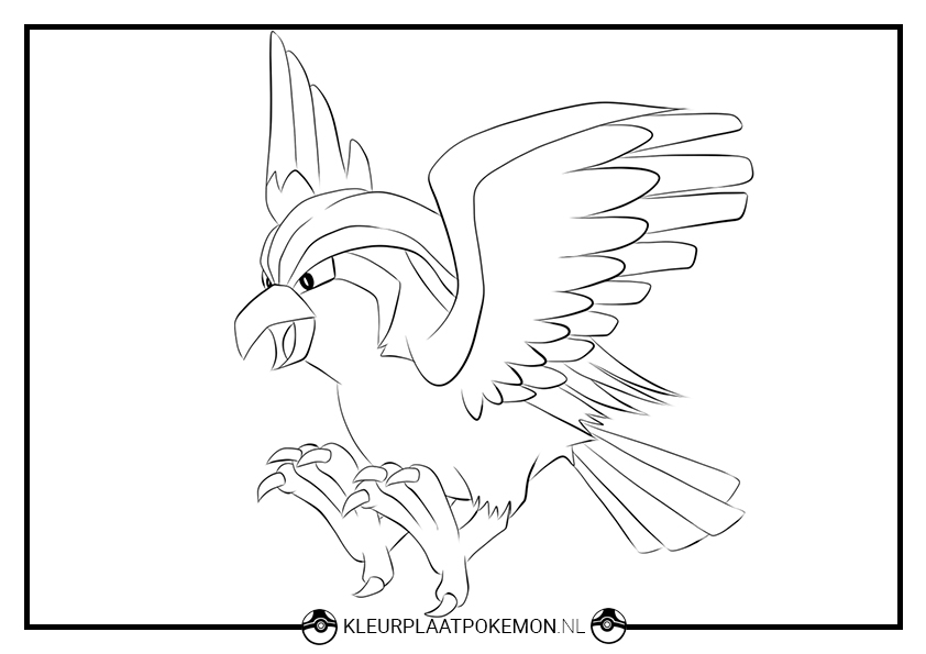 Pidgeot kleurplaten gratis printen kleurplaat pokãmon
