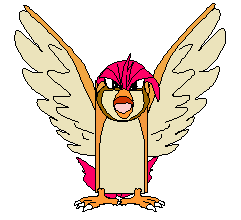 Pidgeotto pokemon