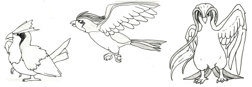 Pidgey evolution line by ankou