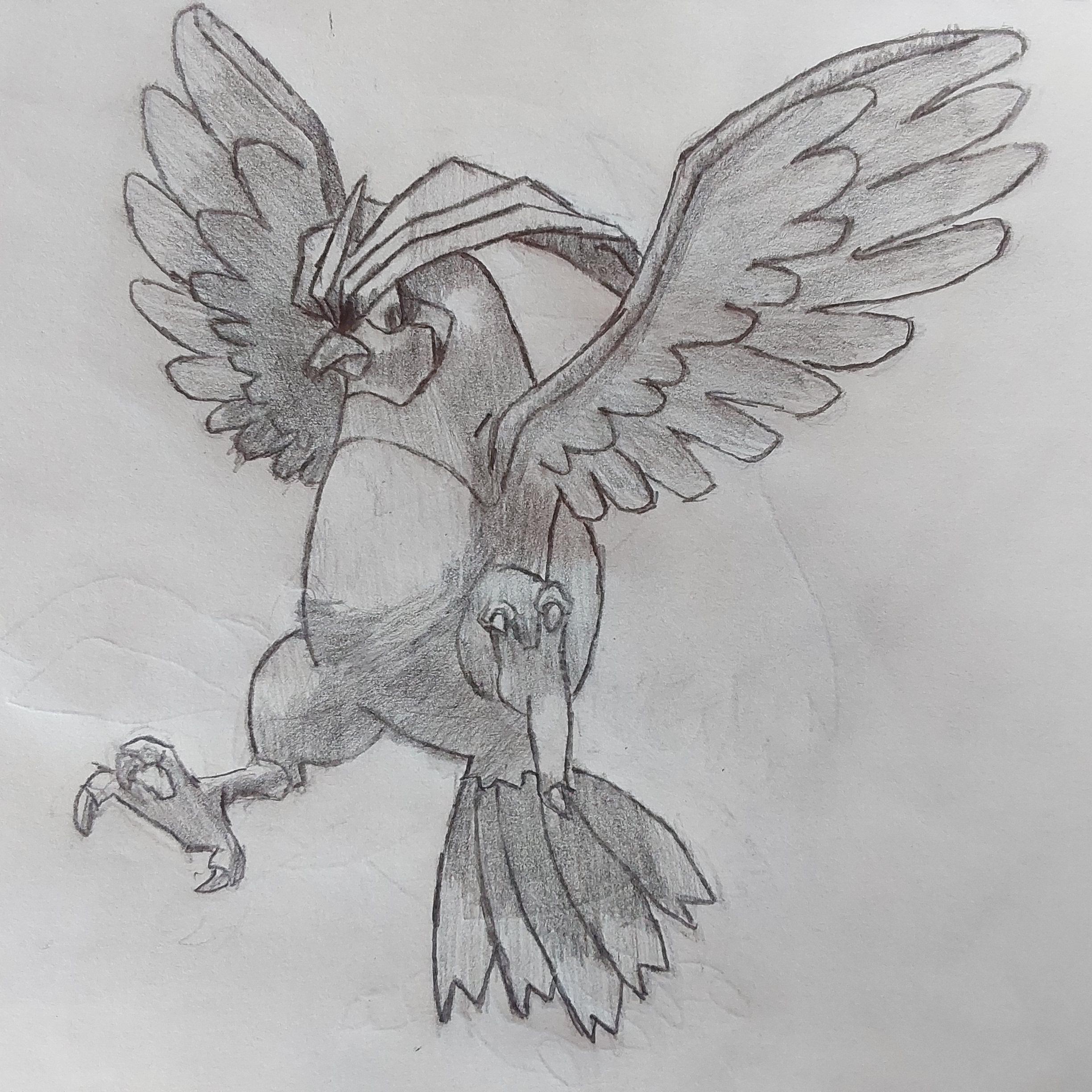 Drawing a pokemon everyday day pidgeotto rpokemon