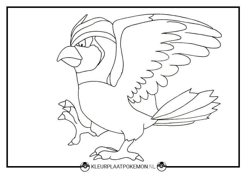 Pidgeotto kleurplaten gratis printen kleurplaat pokãmon
