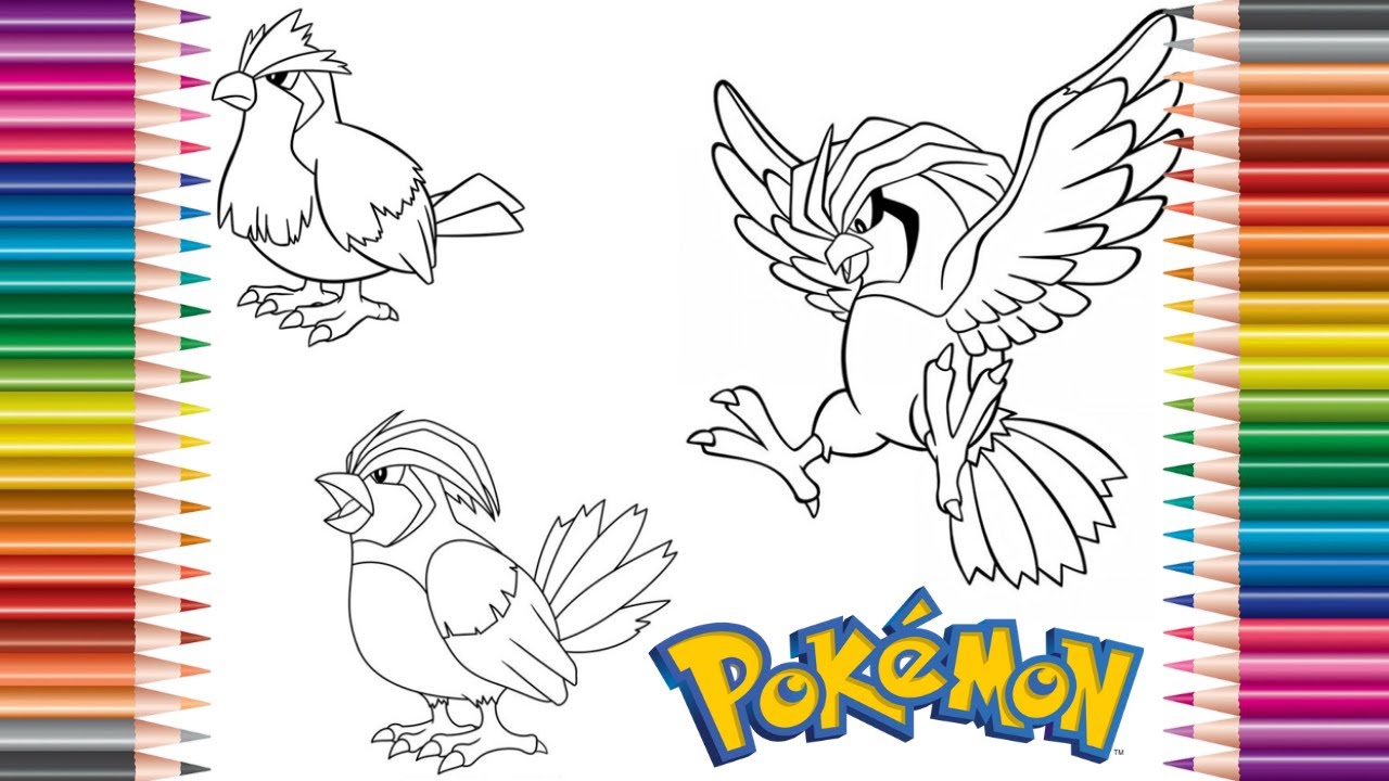 Colorindo pokãmon evoluãão pidgey pidgeotto pidgeot desenhos para crianãas famãlia coloring pokãmon