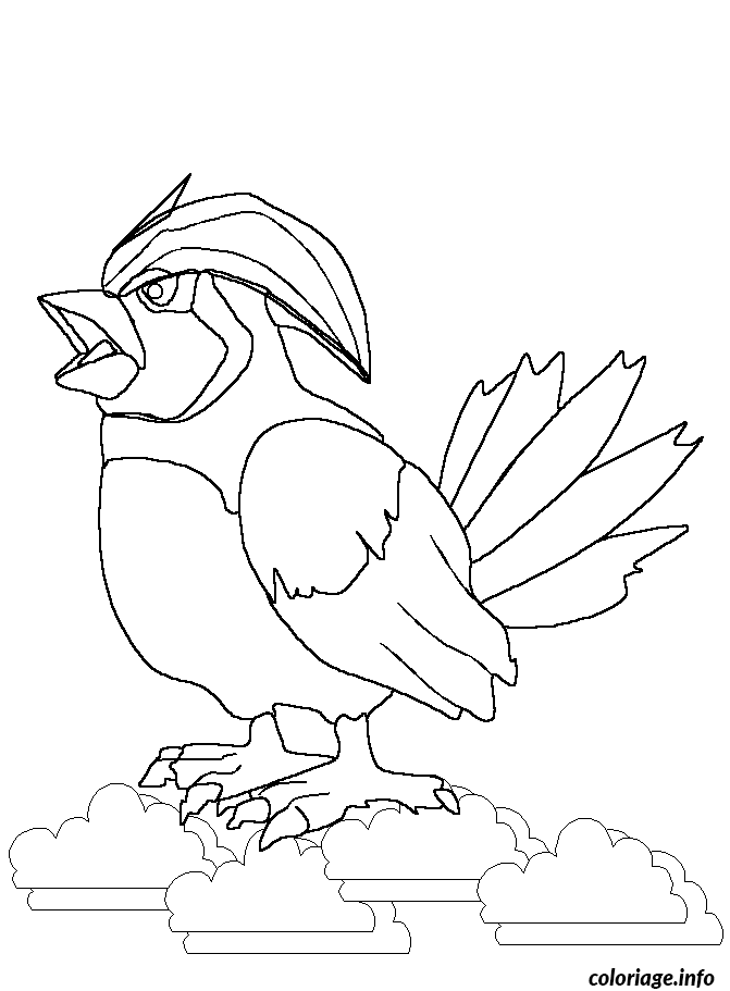 Pokemon pidgeotto dessin pokemon ã imprimer