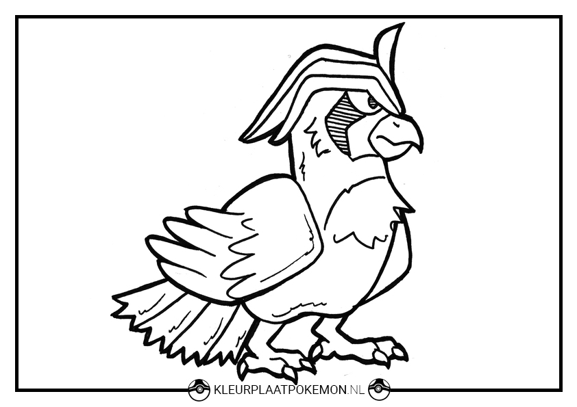 Pidgeotto kleurplaten gratis printen kleurplaat pokãmon