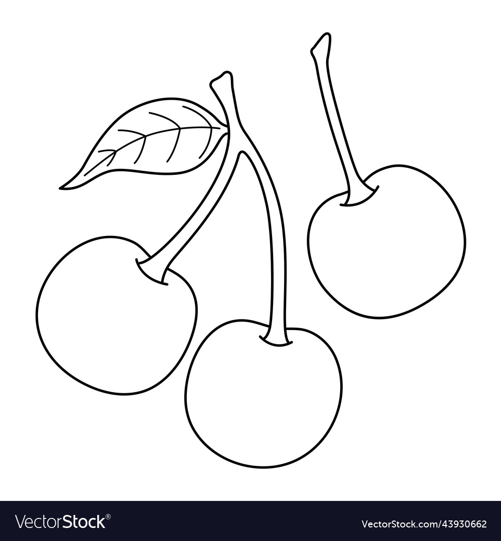 Cherry fruit isolated coloring page for kids vector image