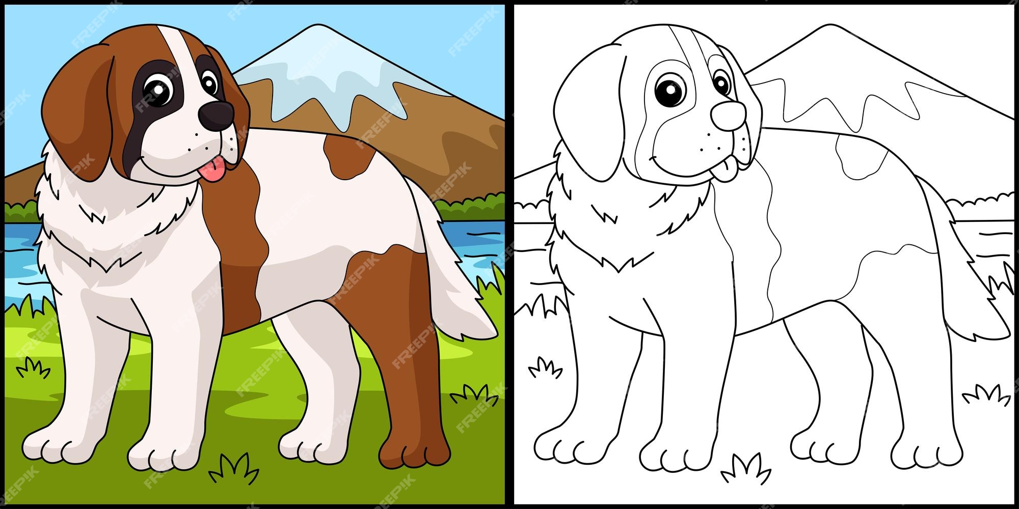 Premium vector saint bernard dog coloring page illustration