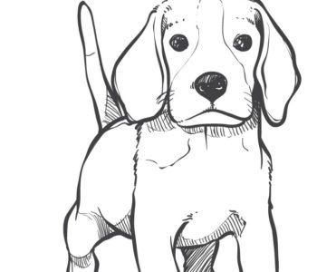 Maåy piesek kolorowanka do druku mouse sketch mickey mouse drawings coloring pages
