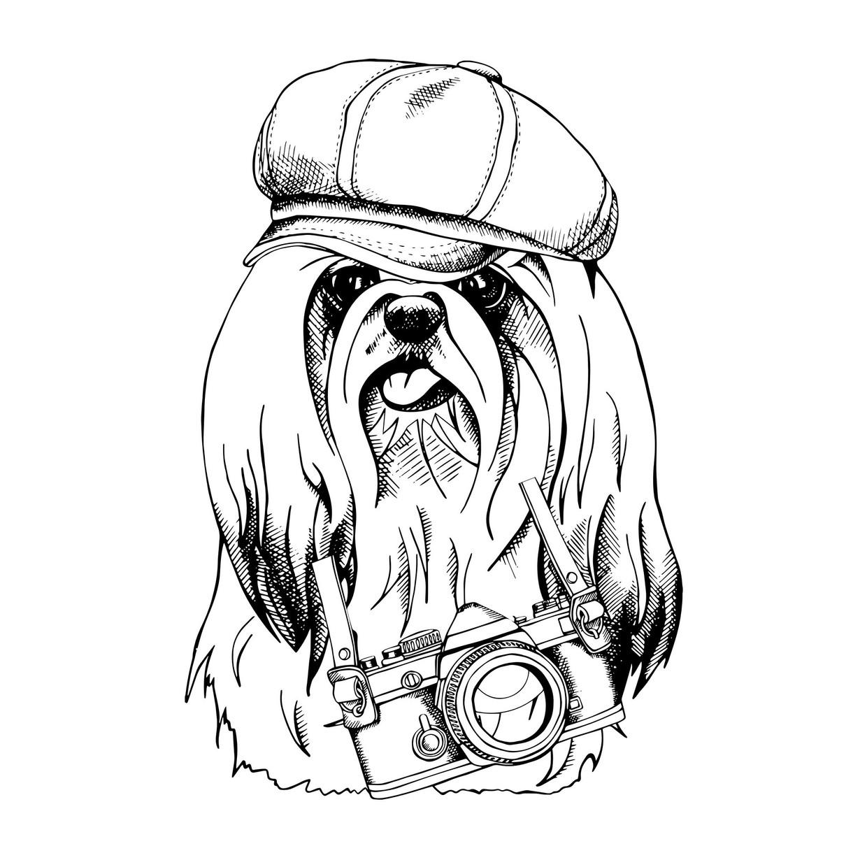 Funny dogs coloring book