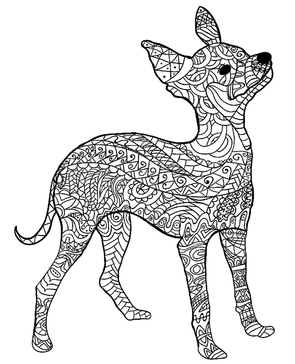 Relaxing colouring books for adults