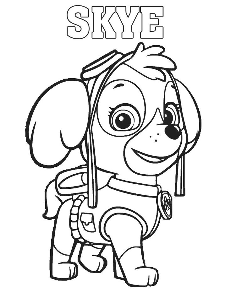 Skye kolorowanka z bajki psi patrol do drukowania paw patrol coloring pages paw patrol coloring cartoon coloring pages
