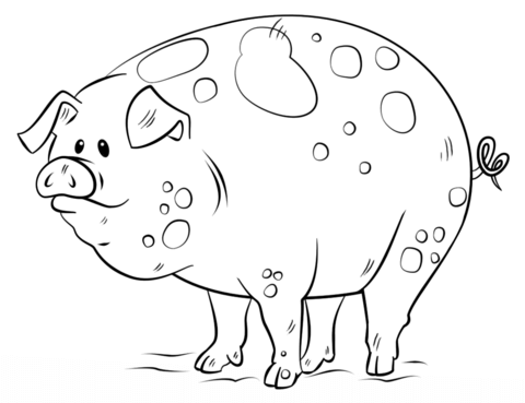 Cartoon pig coloring page free printable coloring pages coloring pages pig cartoon printable coloring pages