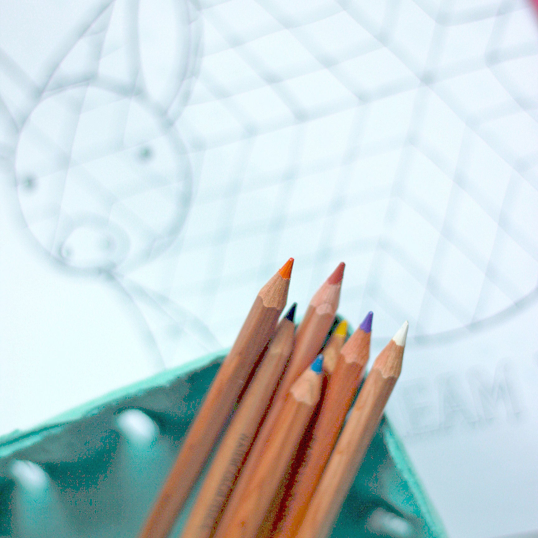 Free printable pig coloring page â