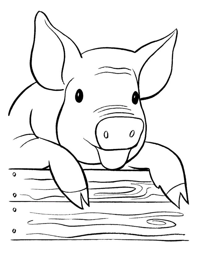 Free printable pig coloring pages for kids farm animal coloring pages farm coloring pages animal coloring pages