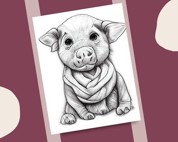 Cute pigs coloring pages realistic pig illustrations printable coloring book pig animal drawings instant download