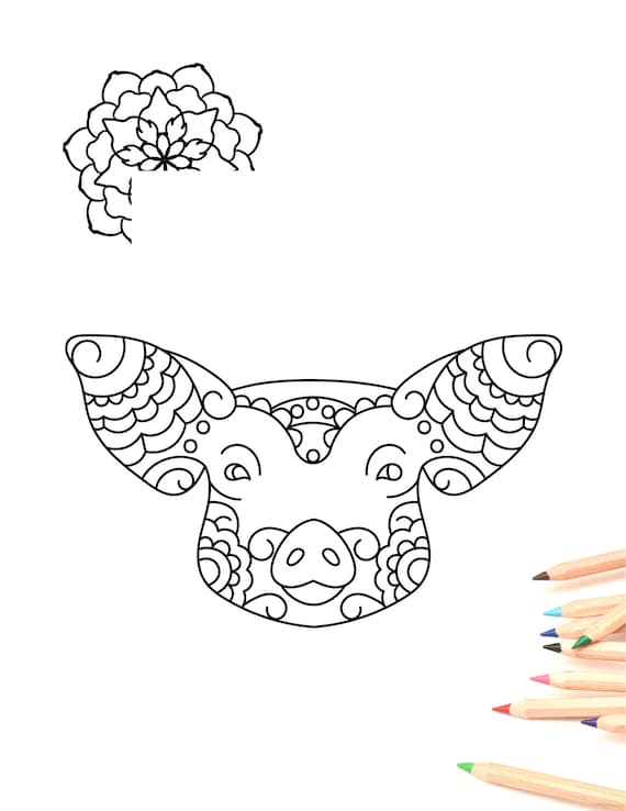 Pig coloring page instant download farm animals coloring printable line art mandala piglet hog head adult coloring pages