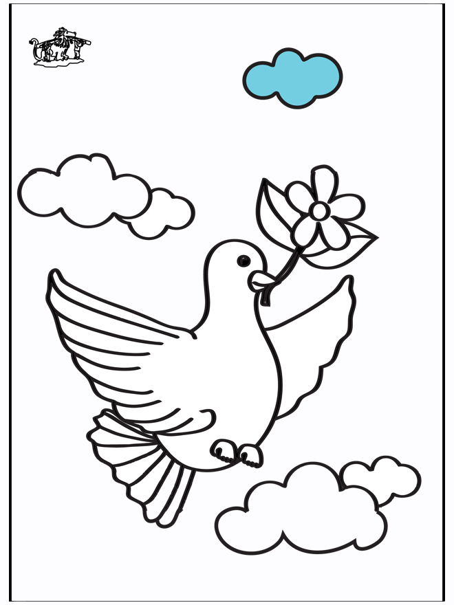 Pigeon