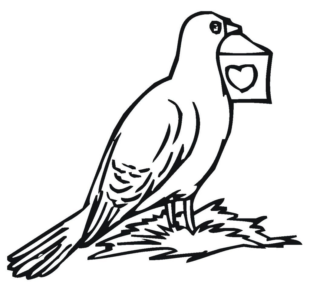 Free printable pigeon coloring pages for kids coloring pages coloring pages to print bird coloring pages