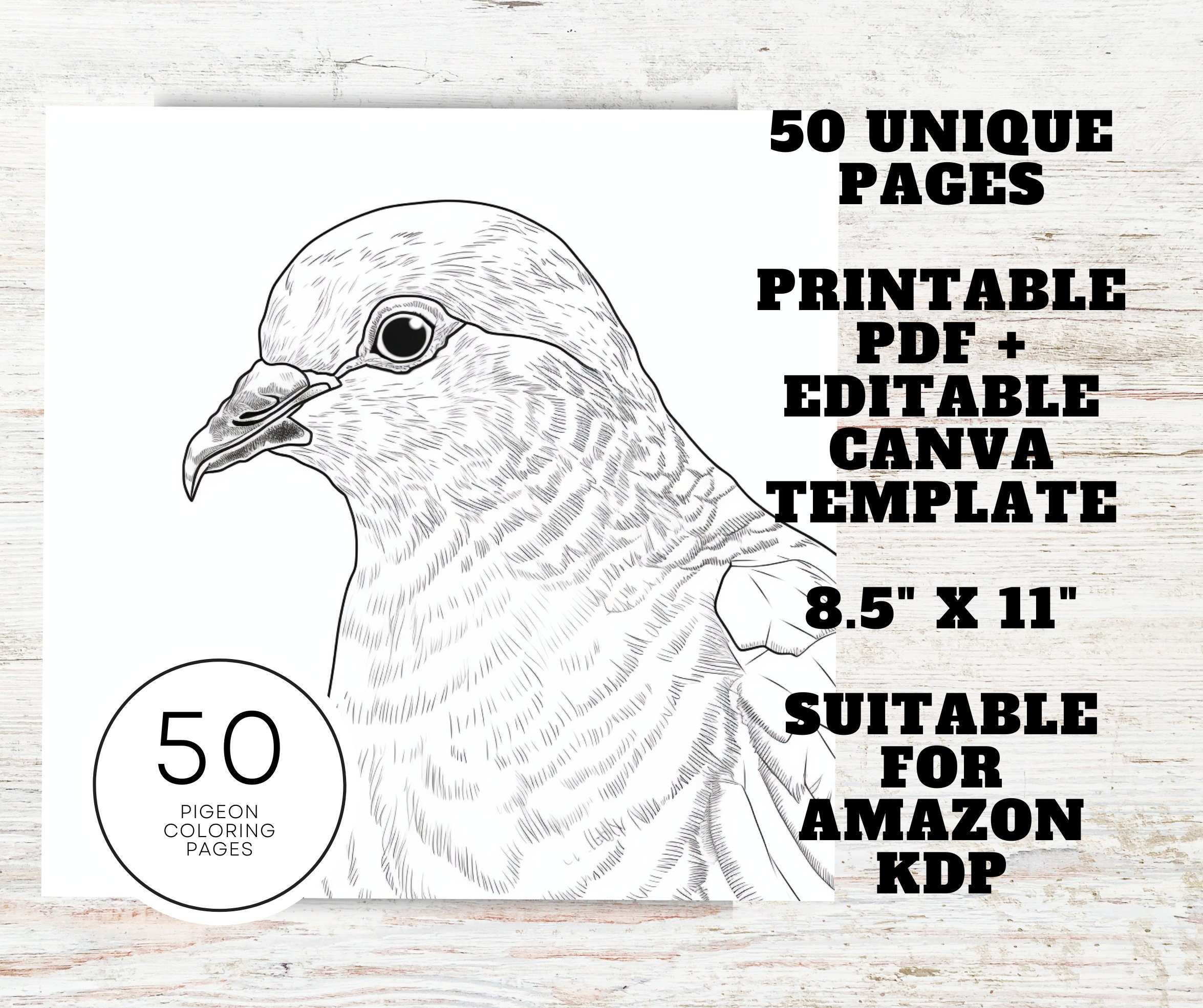 Kdp interior pigeon coloring pages x printable pdf kids adult coloring book mercial use activity book