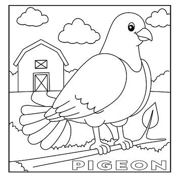 Pigeon coloring page tpt