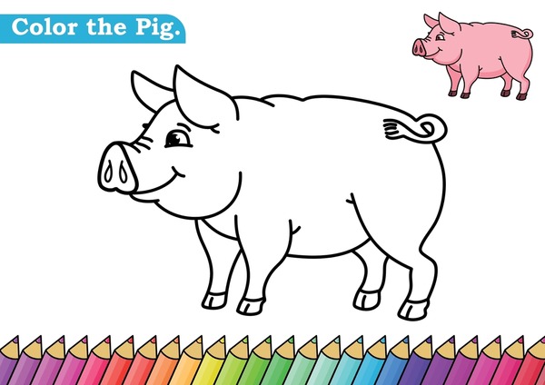 Thousand color pig royalty