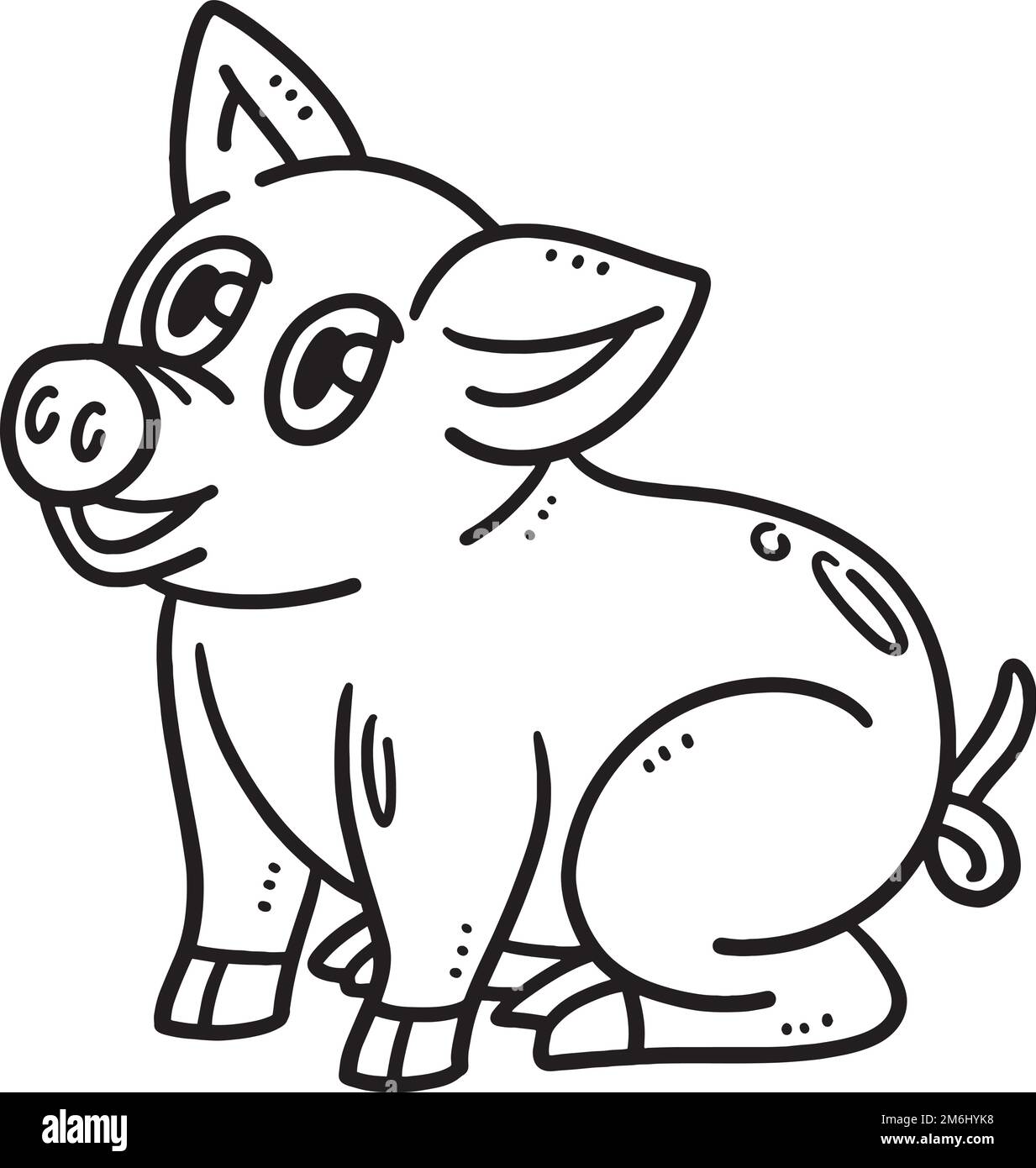 Baby pig isolated hi