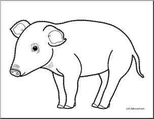 Clip art baby animals pig piglet coloring page i