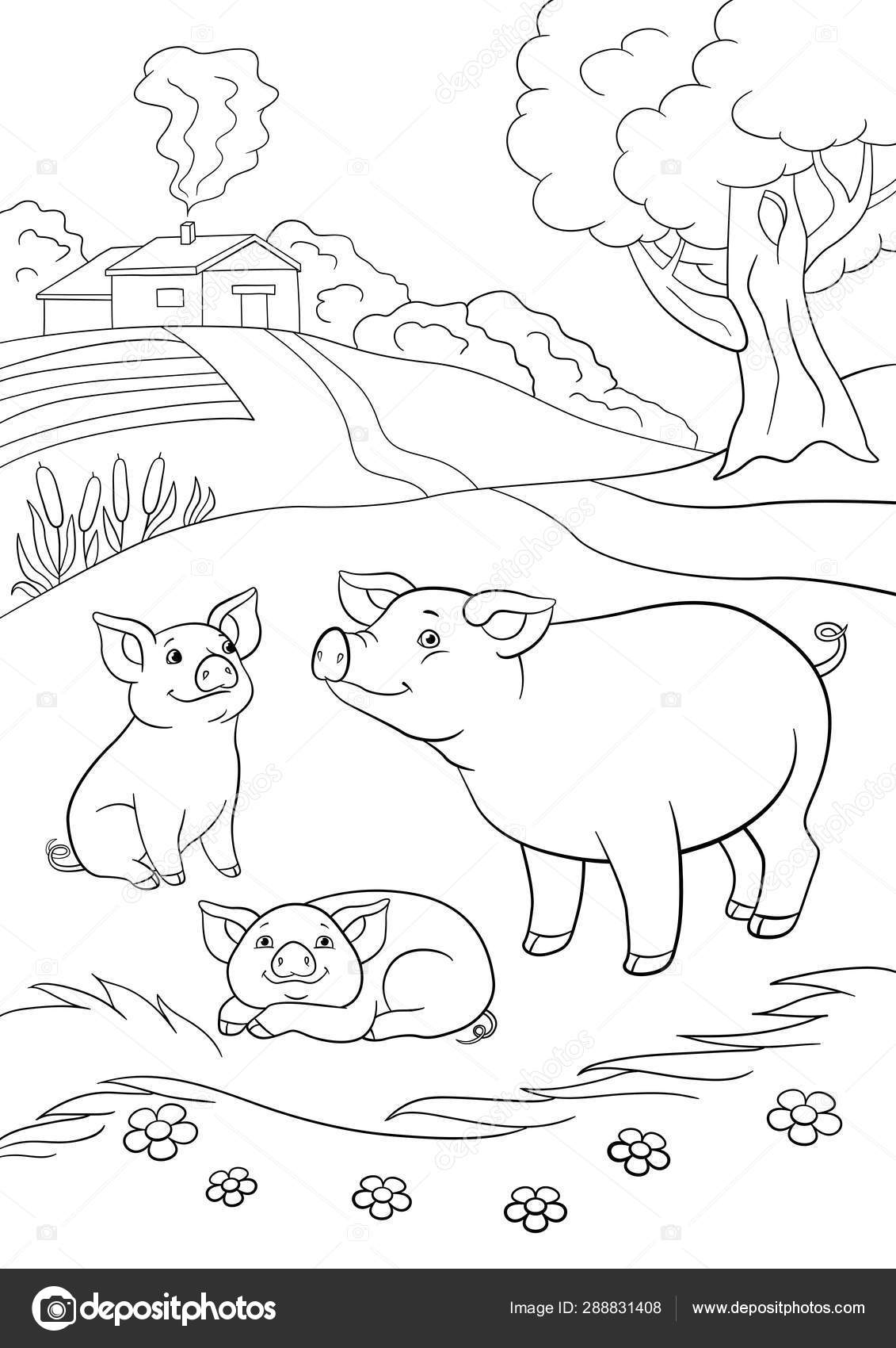 Coloring pages black white mother pig het two little cute stock vector by ya