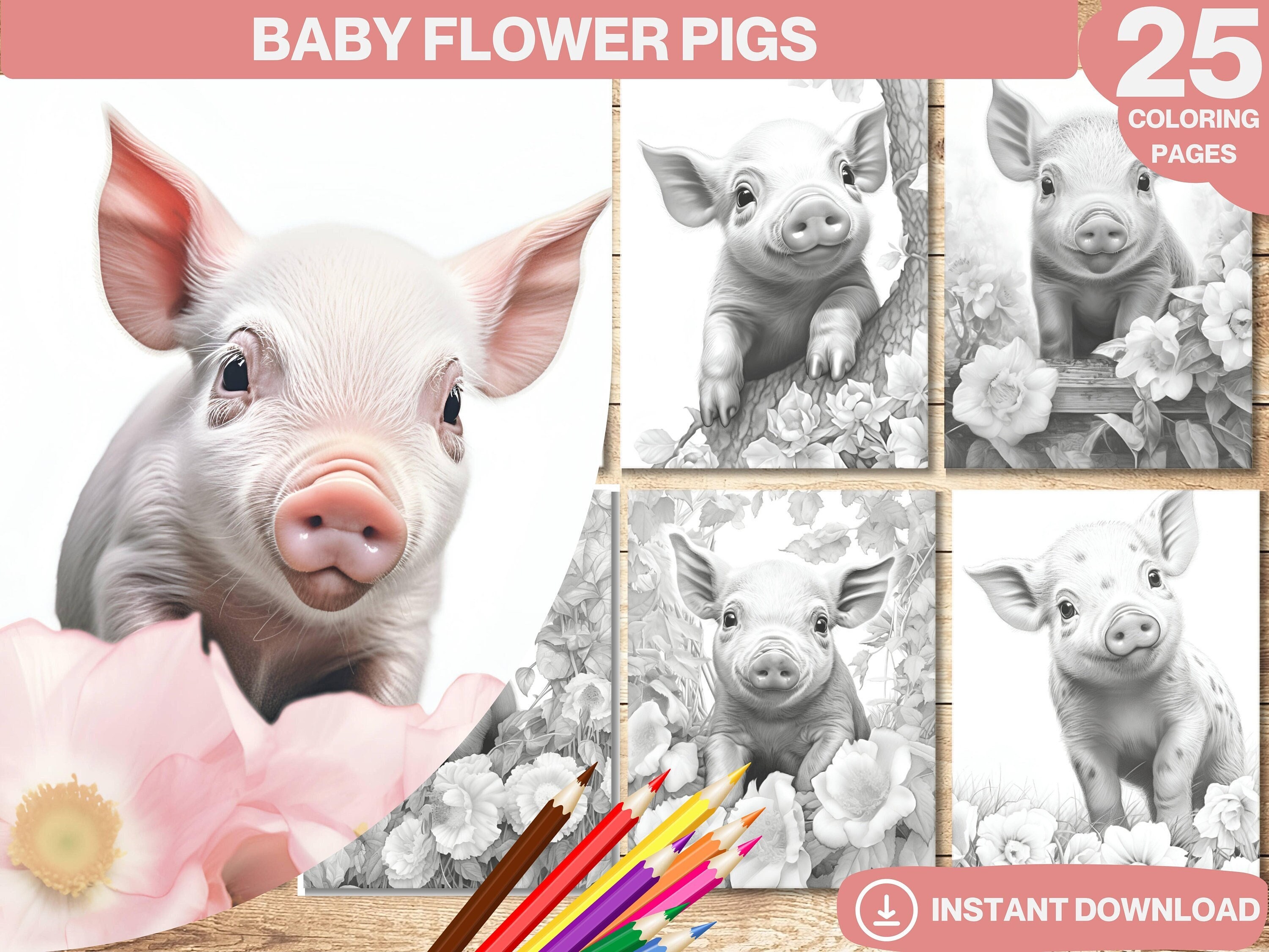 Coloring piglet