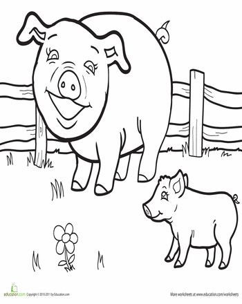 Color a pig and piglet worksheet education preschool coloring pages color worksheets for preschool education