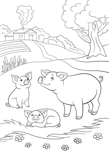 Coloring pages mother pig with her two little cute piglets stock illustration