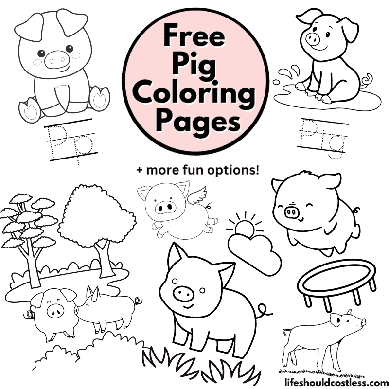 Pig coloring pages free printable pdf templates
