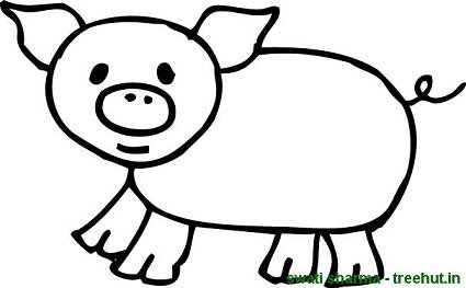 Baby pigs colorg pages