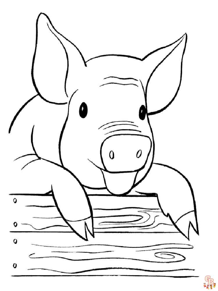 Pig coloring pages for hours of fun for kids