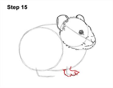 How to draw a pika video step