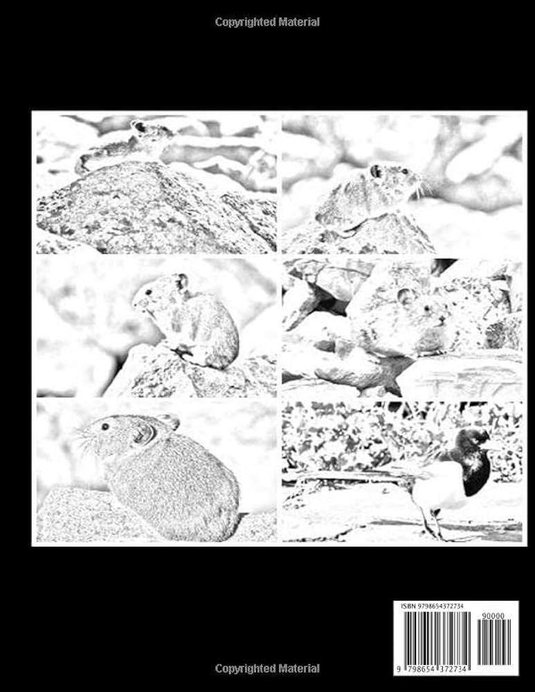 Pika coloring book for adults relaxation pictures pika sketch coloring book creativity and mindfulness by