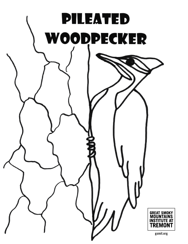 Tremont institute coloring pages
